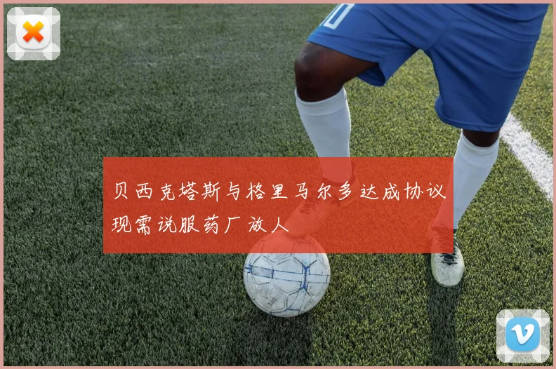 贝西克塔斯与格里马尔多达成协议现需说服药厂放人